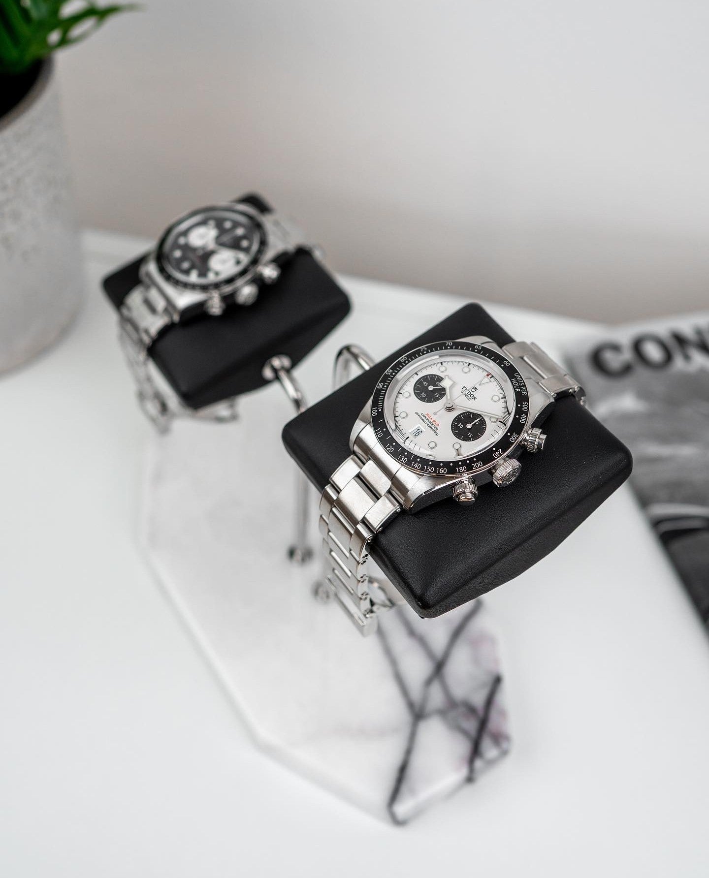 Hexagonal Luxury Watch Stand - Double Cushion - White